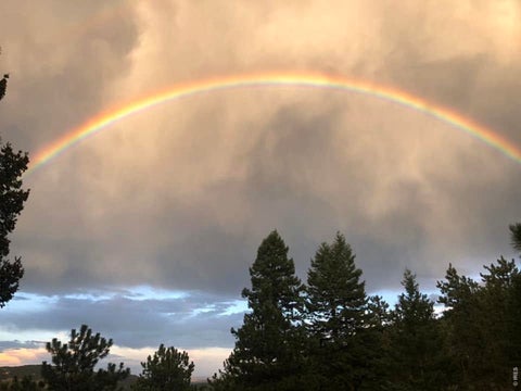 Tiny photo for 208 Packer Gulch Rd, Boulder, CO 80302 (MLS # 1069410)