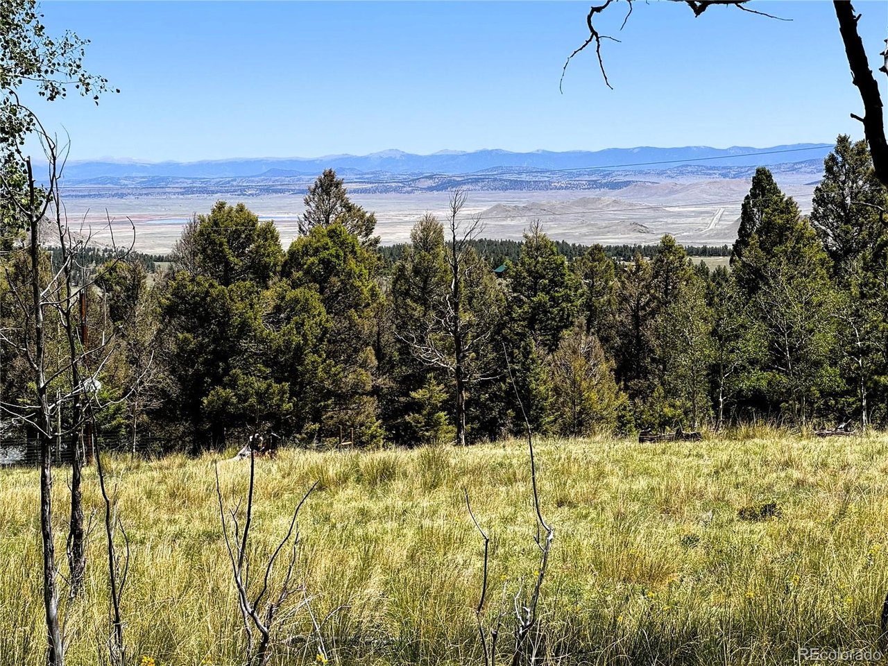 Photo 1 of 11 — 110 Kaufman Ct, Hartsel, CO 80449