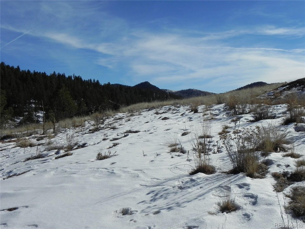 Photo 1 of 6 — 277 Gold King Dr, Cripple Creek, CO 80813