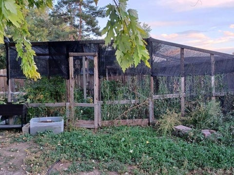 Tiny photo for 1 Placer Ave, Longmont, CO 80504 (MLS # 9716554)