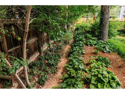 Tiny photo for 1127 Juniper Ave, Boulder, CO 80304 (MLS # 5574135)