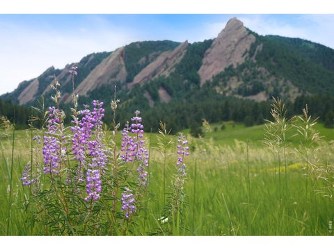 Tiny photo for 1344 6th St, Boulder, CO 80302 (MLS # 1066424)