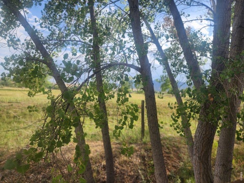 Tiny photo for 1720 S Marshall Rd S 40, Boulder, CO 80305 (MLS # 6985)