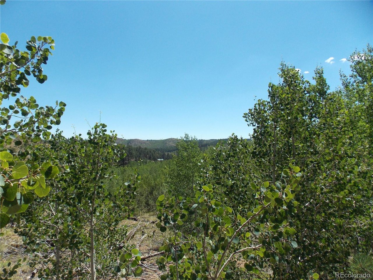 Photo 1 of 7 — 615 Valley Dr, Florissant, CO 80816