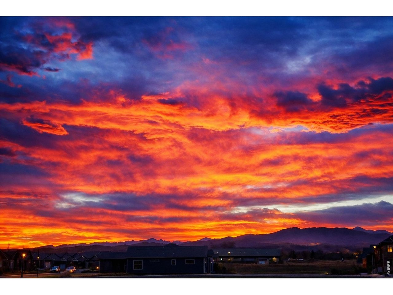 3560 Peruvian Torch Dr