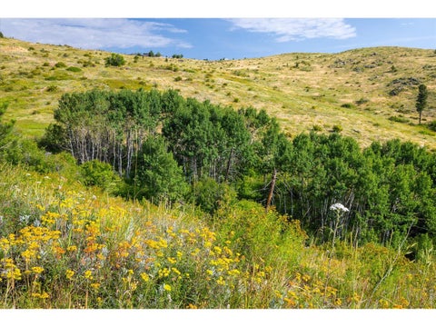 Tiny photo for 730 Lost Angel Rd, Boulder, CO 80302 (MLS # 1062462)