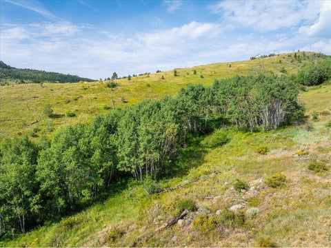 Tiny photo for 730 Lost Angel Rd, Boulder, CO 80302 (MLS # 1062462)