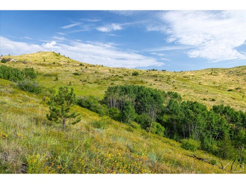 Tiny photo for 730 Lost Angel Rd, Boulder, CO 80302 (MLS # 1062462)