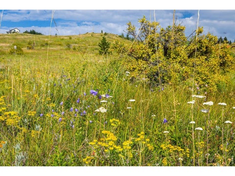 Tiny photo for 730 Lost Angel Rd, Boulder, CO 80302 (MLS # 1062462)