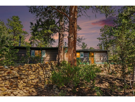 360 SKI RD E, ALLENSPARK, CO 80510 - Image e071780c4f1535ca3fa1f5e2df7fbf74/2065155392