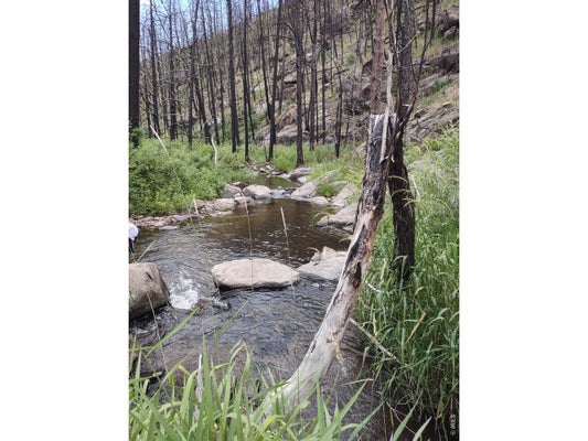 439 REDTAIL RIDGE WAY, BELLVUE, CO 80512 - Image e0f0e1ca4d3fd84aaf0d86d2ccc48cb6/2526624585