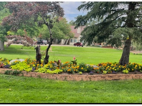Tiny photo for 6036 Gunbarrel Ave B, Boulder, CO 80301 (MLS # 1065874)