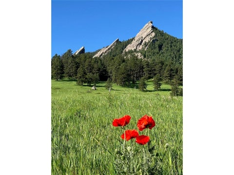 Tiny photo for 3343 Cripple Creek Trl H12, Boulder, CO 80305 (MLS # 5668353)