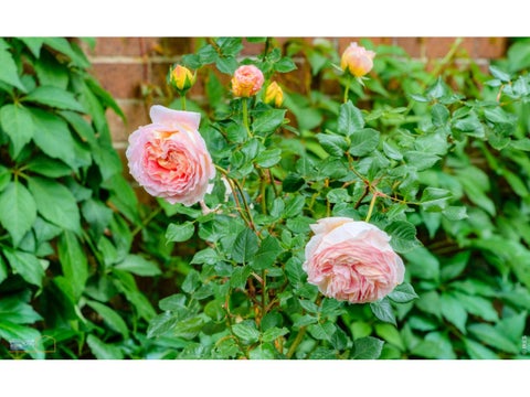 Tiny photo for 604 Mapleton Ave, Boulder, CO 80304 (MLS # 1062359)