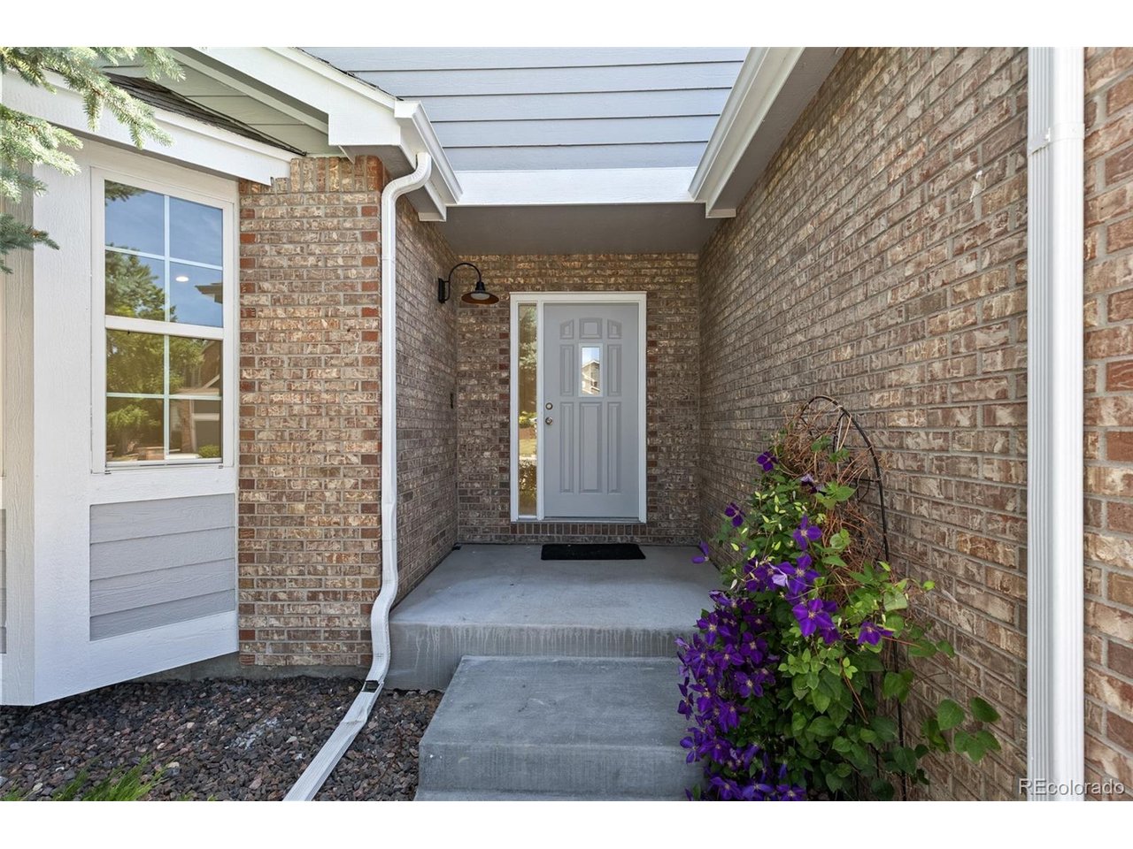 6118 Salvia Ct