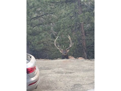 Tiny photo for 1406 Pika Rd, Boulder, CO 80302 (MLS # 1053247)