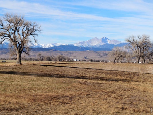 1254 BURT AVE, BERTHOUD, CO 80513 - Image f9392065c1fff3ef90b52f1fbdd6818f/1314856417