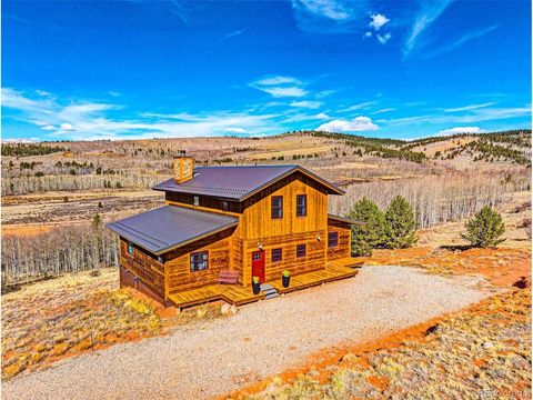 31 Buzzsaw Ln Fairplay CO 80440