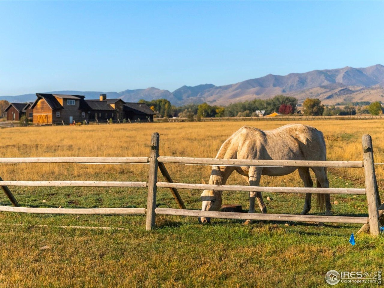 5336 Caribou Springs Trl