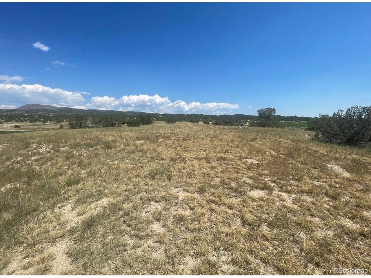 Photo 1 of 1 — 828 Pecos Pt, Canon City, CO 81212