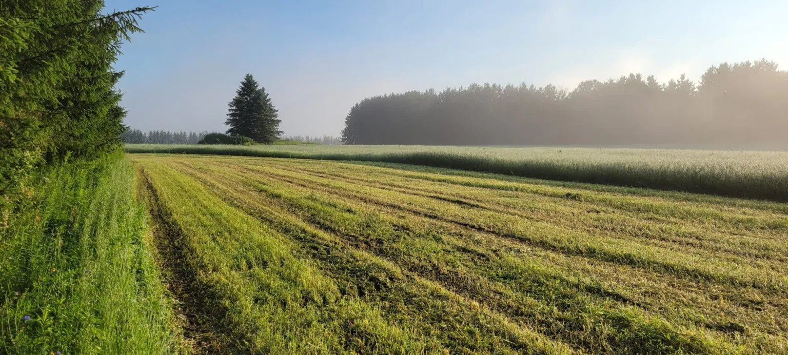 La Pêche, QC J0X 3G0, Canada, 3 Bedrooms Bedrooms, ,2 BathroomsBathrooms,Residential,Active,40301