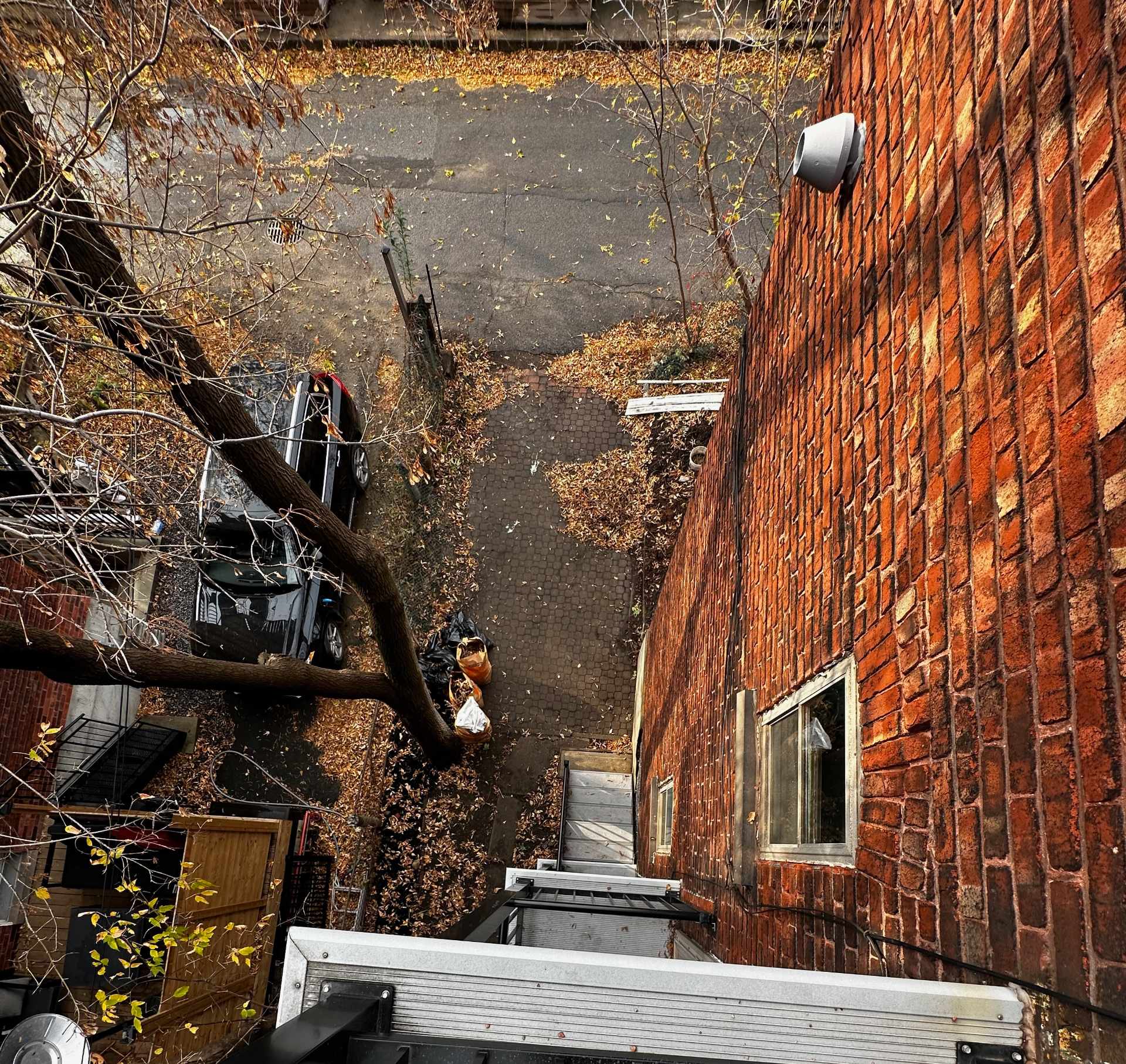 Montréal (Côte-Des-Neiges/Notre-Dame-De-Grâce), QC H4A 3H2, Canada, 3 Bedrooms Bedrooms, ,1 BathroomBathrooms,Residential,Active,35879