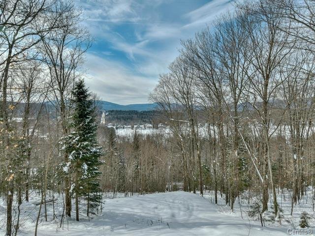 Saint-Donat, QC J0T 2C0, Canada, 3 Bedrooms Bedrooms, ,3 BathroomsBathrooms,Residential,Active,20265
