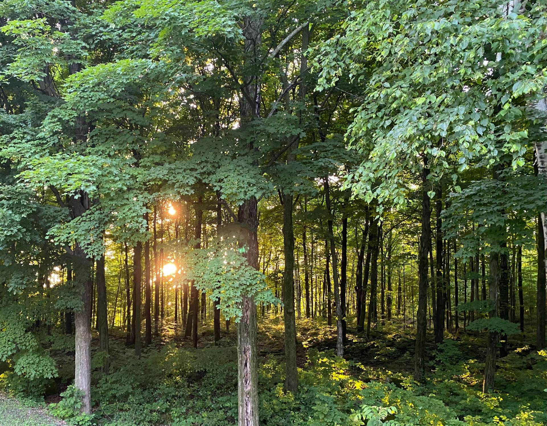 Saint-Armand, QC J0J 1N0, Canada, 5 Bedrooms Bedrooms, ,3 BathroomsBathrooms,Residential,Active,131324