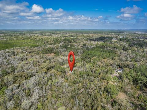Tiny photo for 9923 Woodville Highway, Leon, FL 32305 (MLS # 396984)