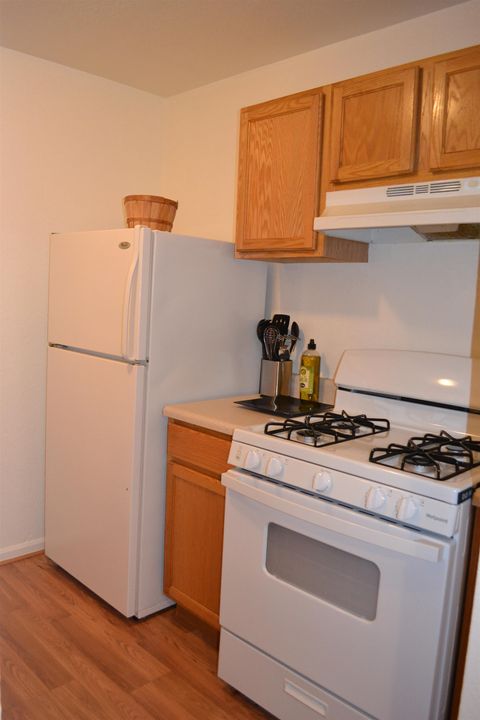 Tiny photo for 317 Mabry Street #312, Tallahassee, FL 32304 (MLS # 397717)