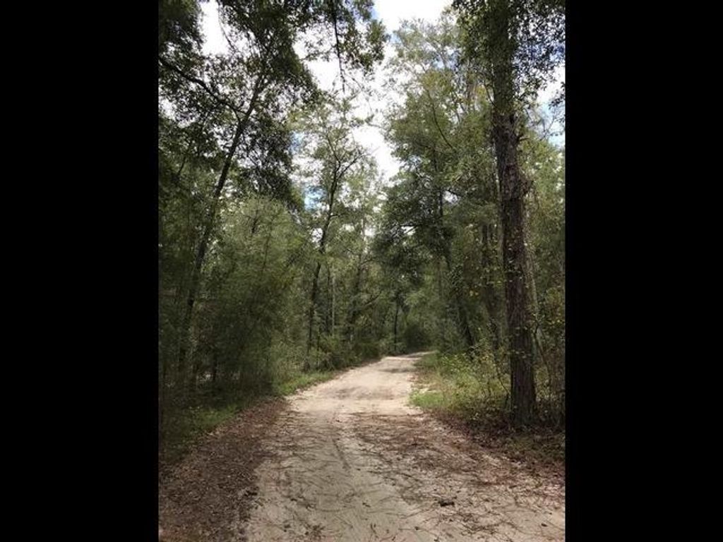 Photo of 0 ANDREW SPEARS Road, Crawfordville, FL 32327 (MLS # 394663)