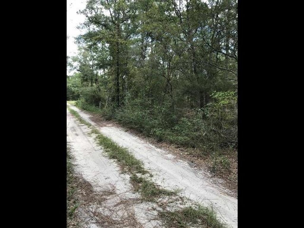 Photo of 0 ANDREW SPEARS Road, Crawfordville, FL 32327 (MLS # 394663)
