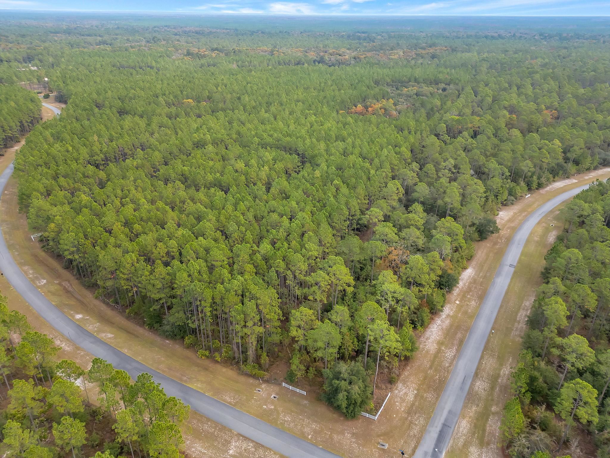 5C Bridle Horse Circle