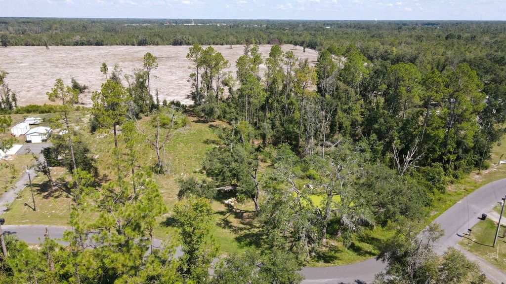 Photo of 415 Judson Drive, Perry, FL 32348 (MLS # 398355)