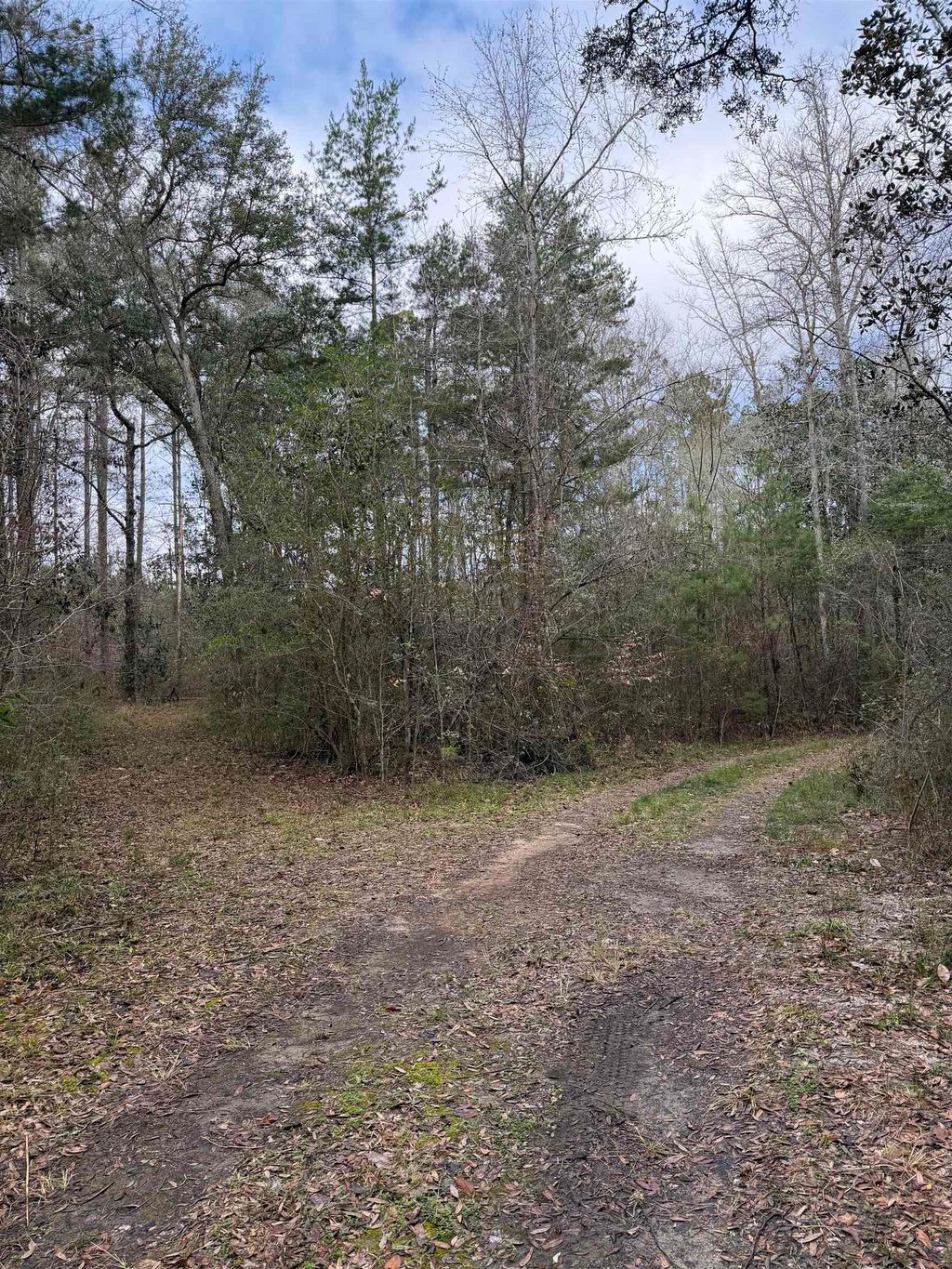 Photo of xxx Shady Rest Road, Havana, FL 32333 (MLS # 396730)