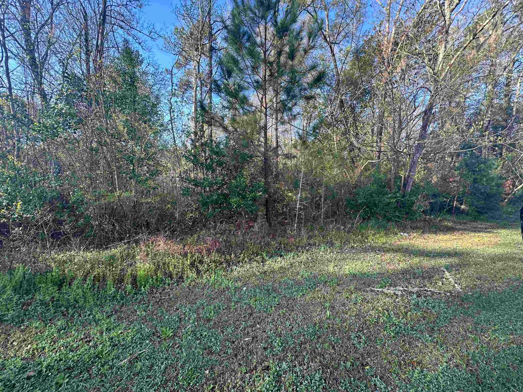 Photo of XX Crawfish Road, Chattahoochee, FL 32324 (MLS # 397284)
