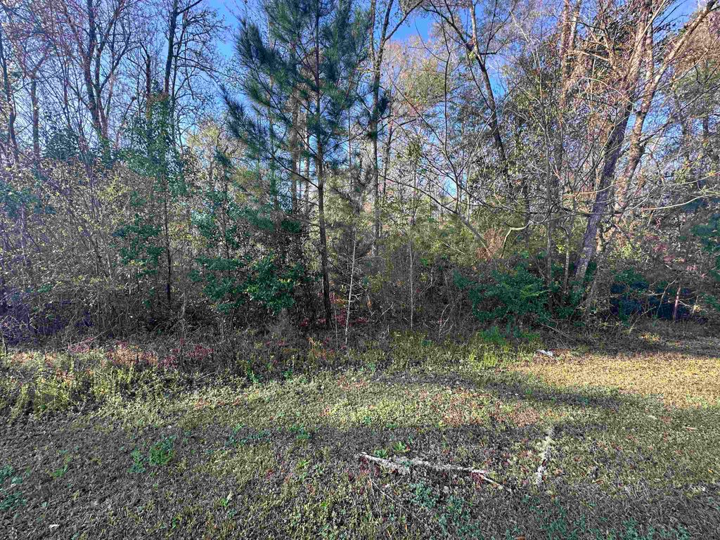 Photo of XX Crawfish Road, Chattahoochee, FL 32324 (MLS # 397284)