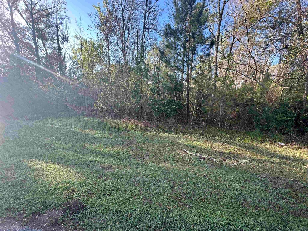Photo of XX Crawfish Road, Chattahoochee, FL 32324 (MLS # 397284)