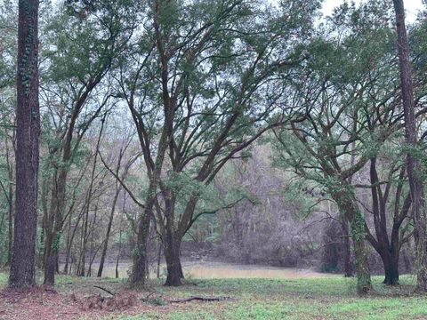 Tiny photo for Conestoga Avenue, Tallahassee, FL 32309 (MLS # 382972)