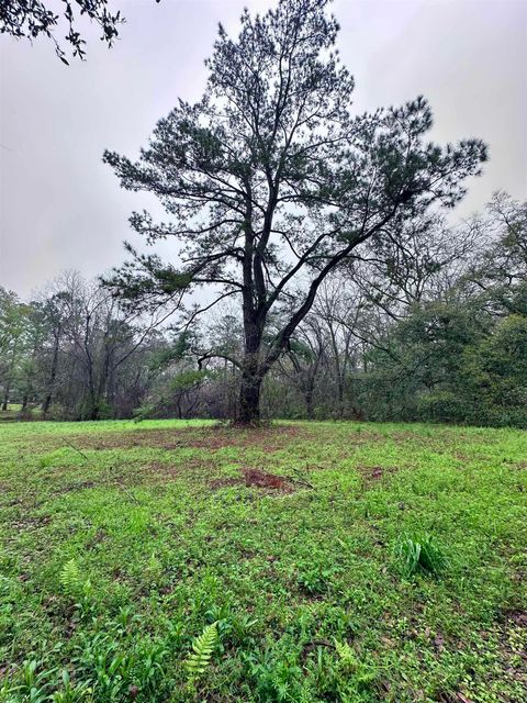 Tiny photo for Conestoga Avenue, Tallahassee, FL 32309 (MLS # 382972)