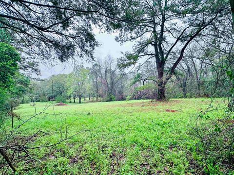 Tiny photo for Conestoga Avenue, Tallahassee, FL 32309 (MLS # 382972)