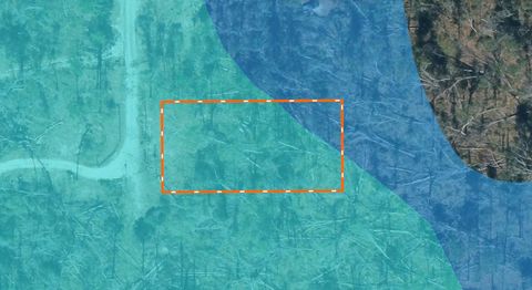 Tiny photo for XXX 237th Road, Live Oak, FL 32060 (MLS # 399315)