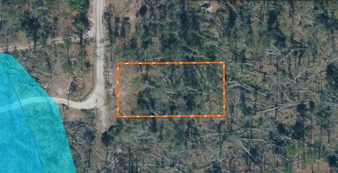 Tiny photo for XXX 237th Road, Live Oak, FL 32060 (MLS # 399315)