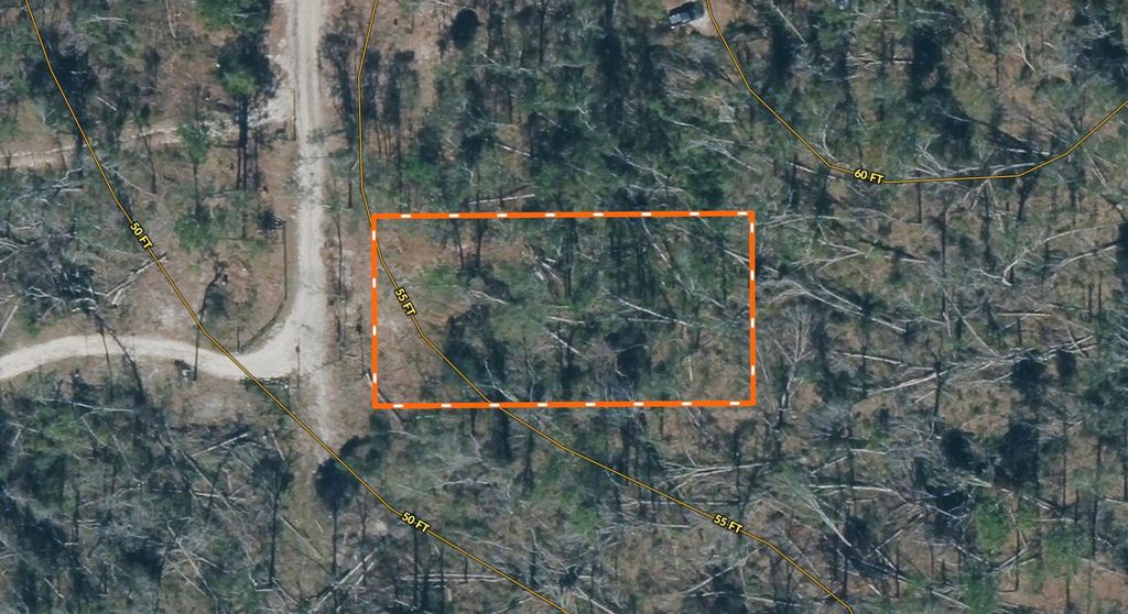 Photo of Vacant 237th Road, Live Oak, FL 32060 (MLS # 399315)