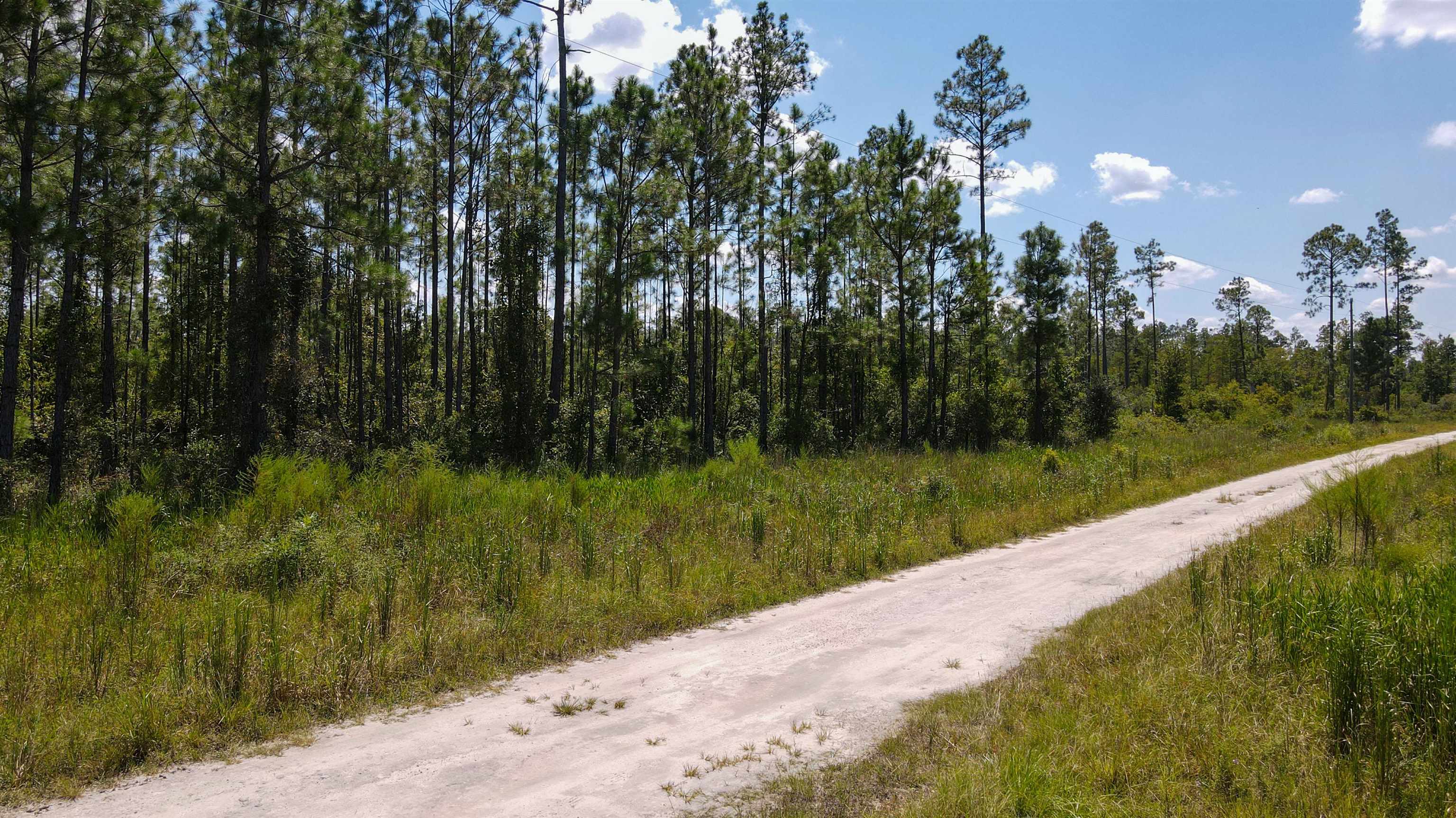 TBD Tract 5 Rogers Springs Road Road