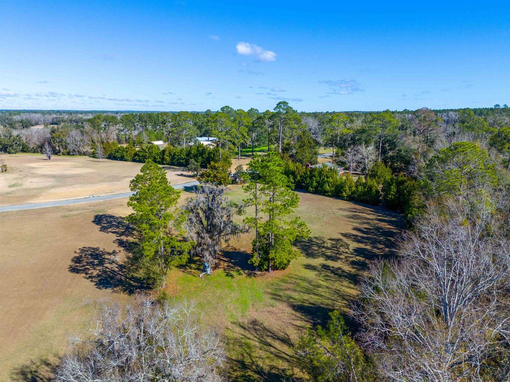 Photo of 293 NW Willie Deas Road, Madison, FL 32340 (MLS # 396461)