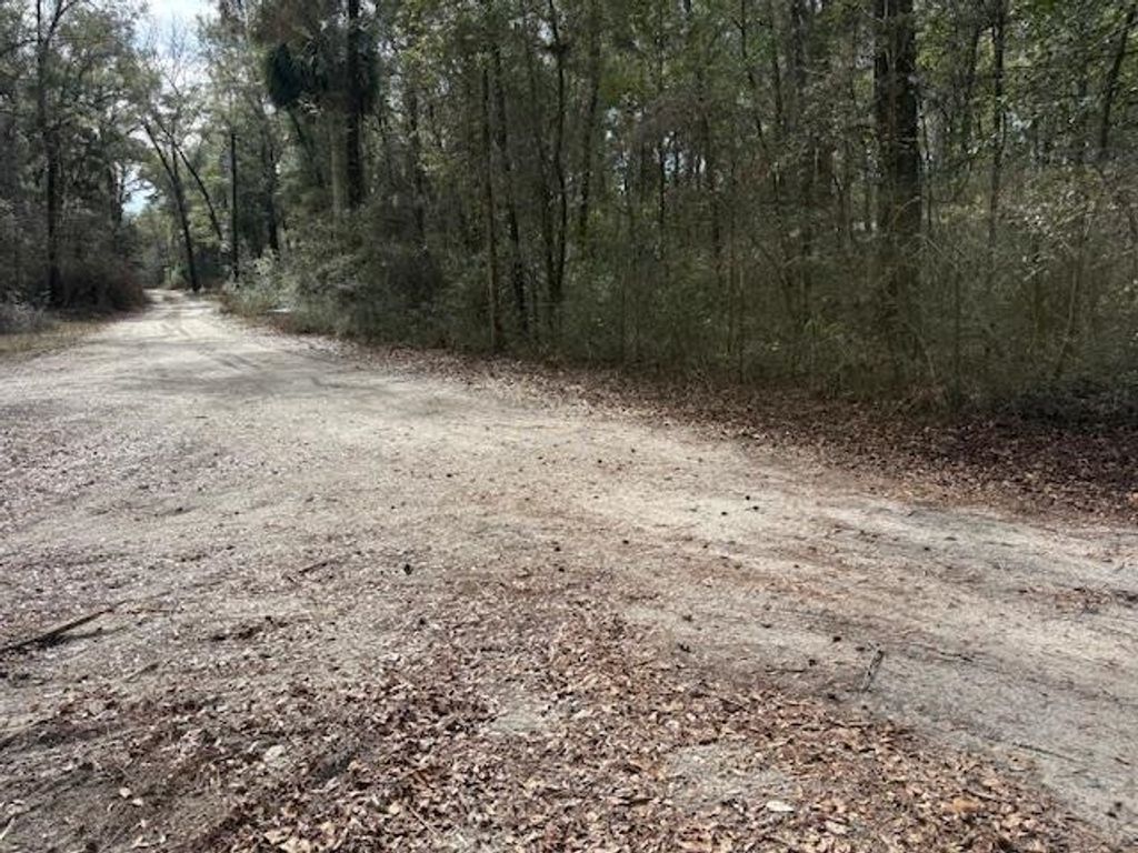 Photo of XX Tharpe Lane, Crawfordville, FL 32327 (MLS # 395456)