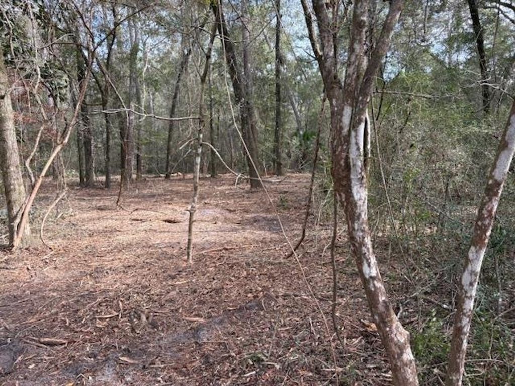 Photo of XX Tharpe Lane, Crawfordville, FL 32327 (MLS # 395456)