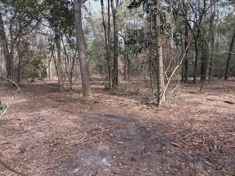 XX Tharpe Lane Crawfordville FL 32327