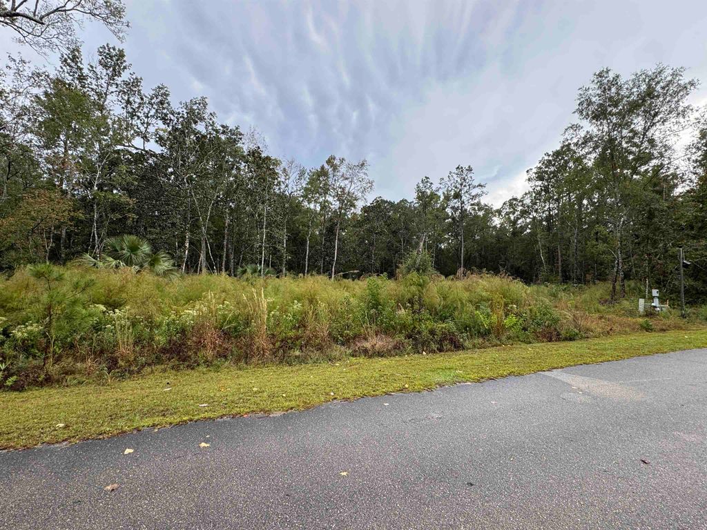 Photo of 44 Water Oak Way, St Marks, FL 32355 (MLS # 392666)